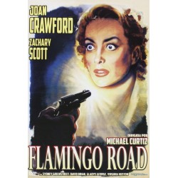 Flamingo Road [DVD]